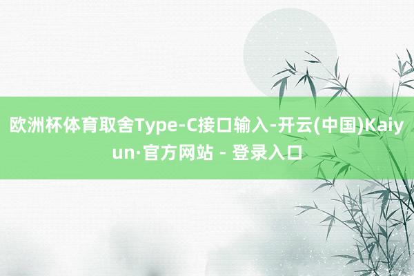欧洲杯体育取舍Type-C接口输入-开云(中国)Kaiyun