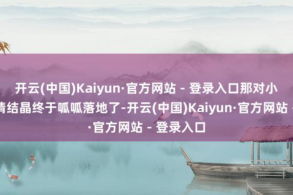 开云(中国)Kaiyun·官方网站 - 登录入口那对小夫人的