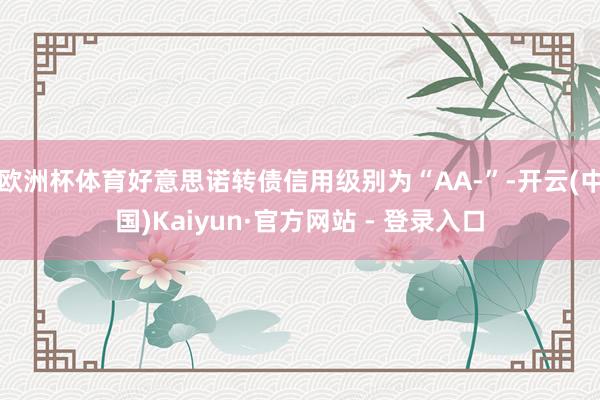 欧洲杯体育好意思诺转债信用级别为“AA-”-开云(中国)Ka