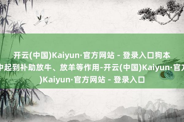 开云(中国)Kaiyun·官方网站 - 登录入口狗本来在乡村