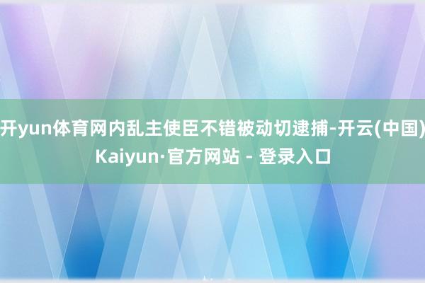 开yun体育网内乱主使臣不错被动切逮捕-开云(中国)Kaiy
