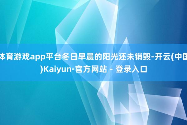 体育游戏app平台冬日早晨的阳光还未销毁-开云(中国)Kai